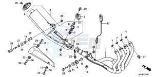 CBF1000FAC drawing EXHAUST MUFFLER