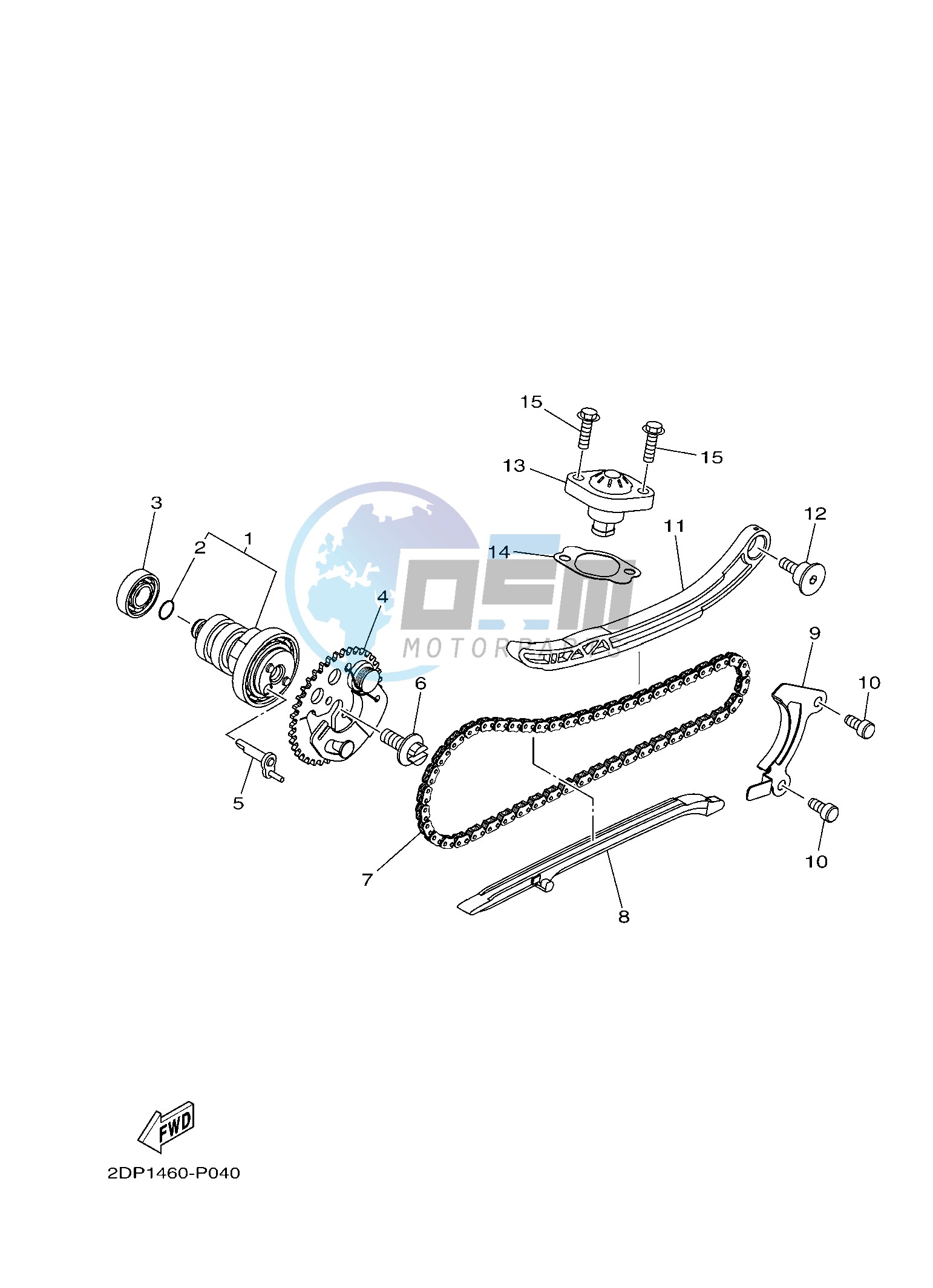 CAMSHAFT & CHAIN