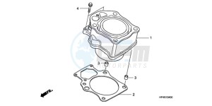 TRX420FMA Australia - (U / 4WD) drawing CYLINDER