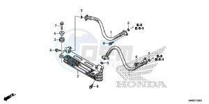 TRX250TME FOURTRAX RECON Europe Direct - (ED) drawing OIL COOLER