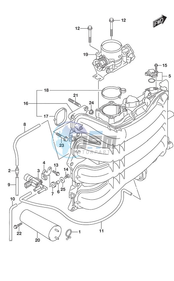 Intake Manifold/Throttle Body (Model: TG/ZG)