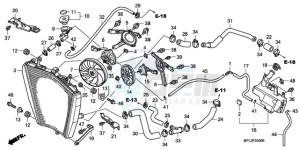 CBR1000RR9 France - (F / MK) drawing RADIATOR