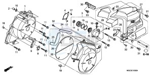 VFR1200FDB drawing A.C. GENERATOR COVER