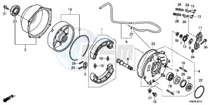 TRX500FPED TRX500FPE ED drawing REAR BRAKE PANEL