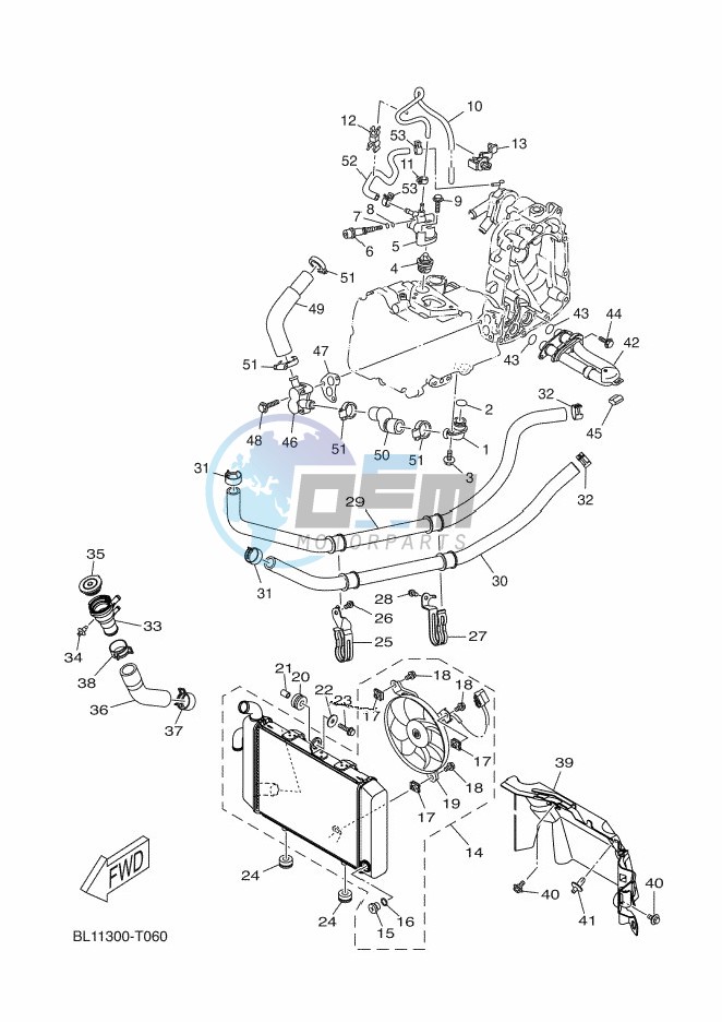 RADIATOR & HOSE