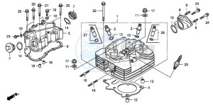 TRX250EX SPORTRAX 250 EX drawing CYLINDER HEAD