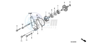 CRF250X9 Australia - (U) drawing WATER PUMP