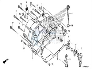 CRF110FH Europe Direct - (ED) drawing RIGHT CRANKCASE COVER