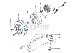 ELYSEO - 100 cc drawing FLYWHEEL MAGNETO