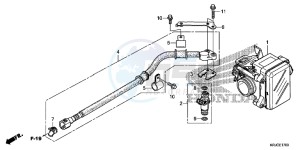 FES125C drawing THROTTLE BODY