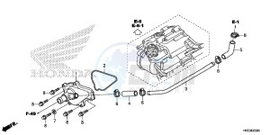 TRX420FE1E TRX420 Europe Direct - (ED) drawing WATER PUMP COVER