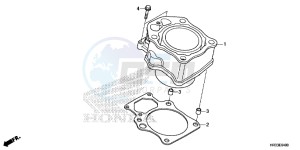 TRX420TE1E TRX420 ED drawing CYLINDER