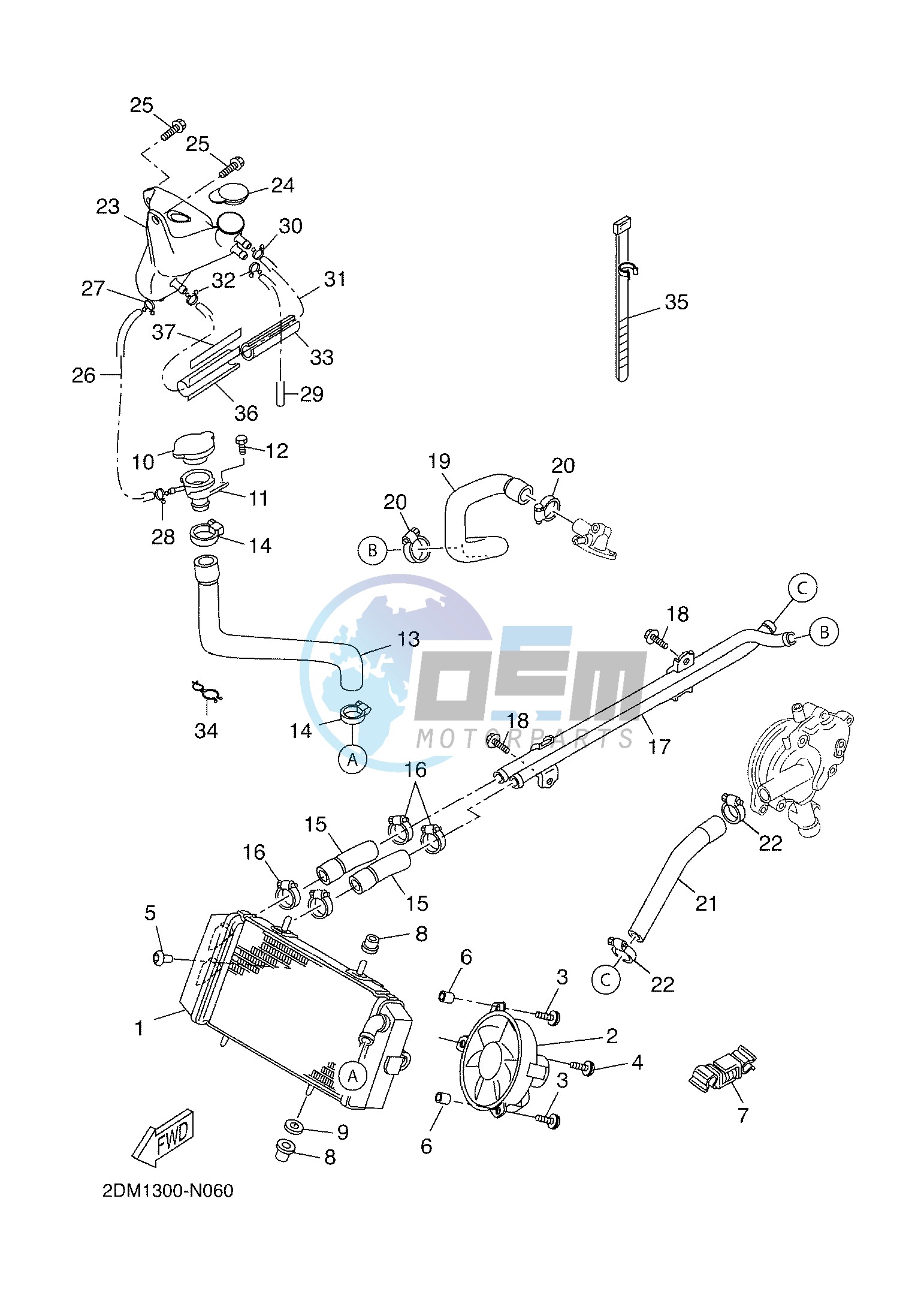 RADIATOR & HOSE