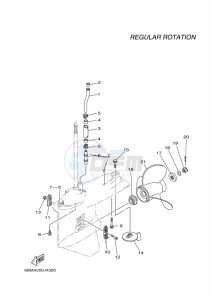 F150FETX drawing PROPELLER-HOUSING-AND-TRANSMISSION-2