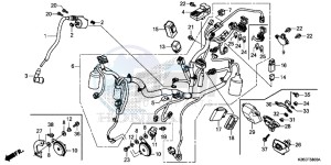 MSX125AH Europe Direct - (ED) drawing WIRE HARNESS