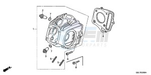 CRF50FC drawing CYLINDER HEAD