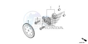 NSS125ADF Forza 125 - NSS125AD UK - (E) drawing OIL PUMP