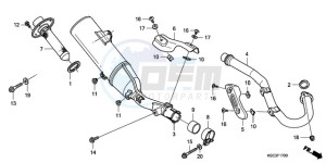 CRF250X9 Europe Direct - (ED / CMF) drawing EXHAUST MUFFLER