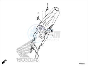 CRF110FH Europe Direct - (ED) drawing REAR FENDER