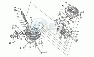 Daytona 1000 RS RS drawing Heads