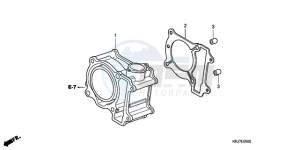 FES1259 Europe Direct - (ED / 2ED) drawing CYLINDER