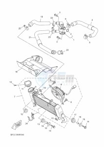 XSR125 LEGACY MTM125-C (BLA1) drawing RADIATOR & HOSE