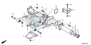 TRX500FE1G TRX500 Europe Direct - (ED) drawing SWINGARM