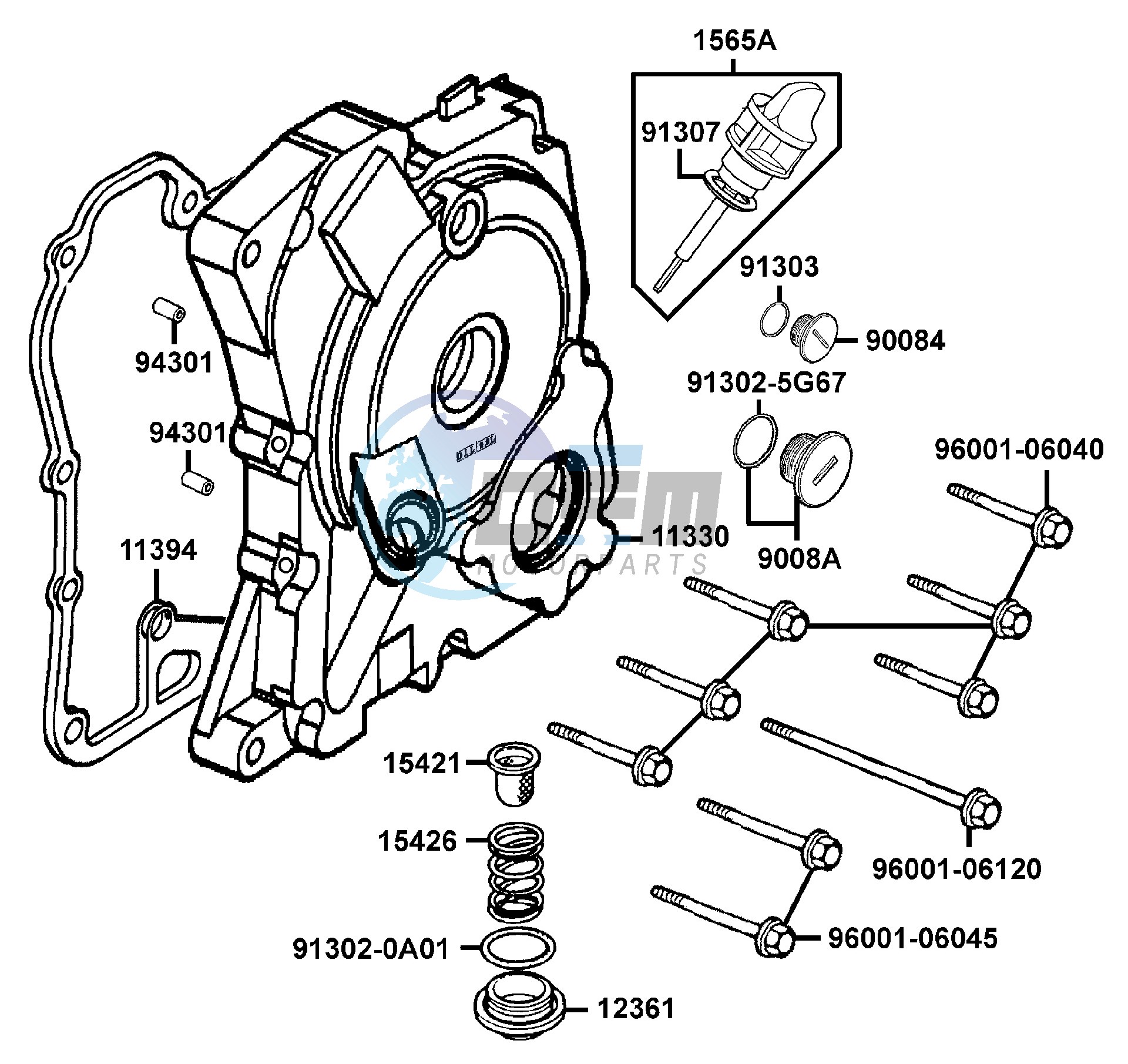 Right Crankcase Cover - Water  Pump