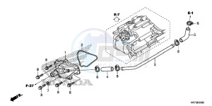 TRX420FA6G TRX420 Europe Direct - (ED) drawing WATER PUMP COVER