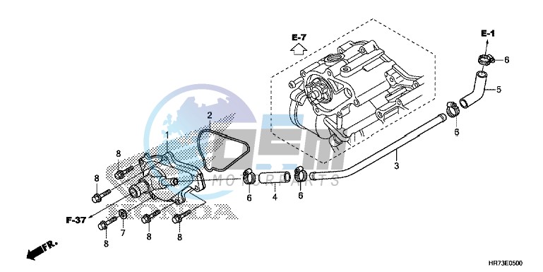 WATER PUMP COVER