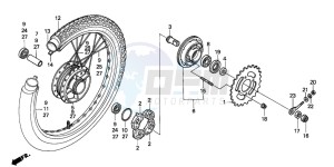 C50 drawing REAR WHEEL