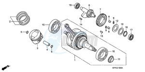 CBR125RWA Australia - (U / BLA) drawing CRANK SHAFT/PISTON