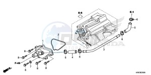 TRX500FM5F TRX500FM Europe Direct - (ED) drawing WATER PUMP COVER