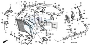 CBR600RR9 UK - (E / MK) drawing RADIATOR