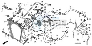 CBR1000RR9 Australia - (U / PSW) drawing RADIATOR