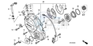 CB600F3A Australia - (U / ST) drawing RIGHT CRANKCASE COVER