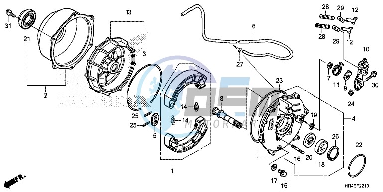 REAR BRAKE PANEL