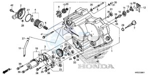 TRX420TE1F TRX420 Europe Direct - (ED) drawing FRONT CRANKCASE COVER (TRX420FE1/FM1/FM2/TE1/TM1)