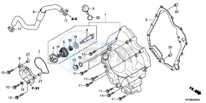 SH300C drawing RIGHT CRANKCASE COVER/WATER PUMP