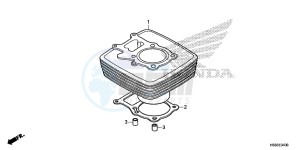 TRX250TEG TRX250T Europe Direct - (ED) drawing CYLINDER