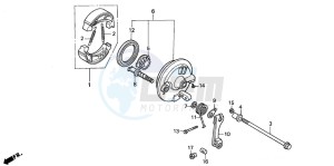 PK50SM drawing FRONT BRAKE PANEL