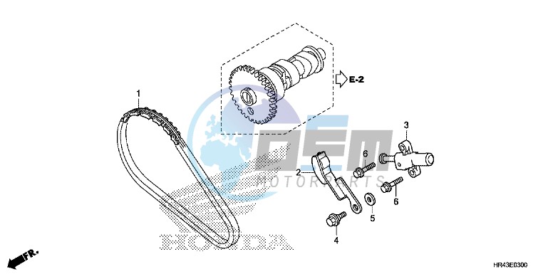 CAM CHAIN/TENSIONER