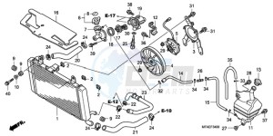 CBF1000AA France - (F / ABS CMF) drawing RADIATOR