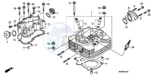 TRX250XB drawing CYLINDER HEAD