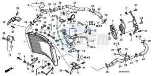 CBR600RAA UK - (E / ABS) drawing RADIATOR