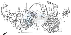 TRX350 FOURTRAX drawing CYLINDER HEAD