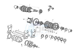 GPR REPLICA RACING EURO2 - 50 cc drawing GEAR BOX