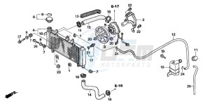 CBF600SA drawing RADIATOR (CBF600S6/SA6)