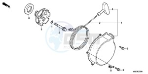 TRX500FPED TRX500FPE ED drawing RECOIL STARTER