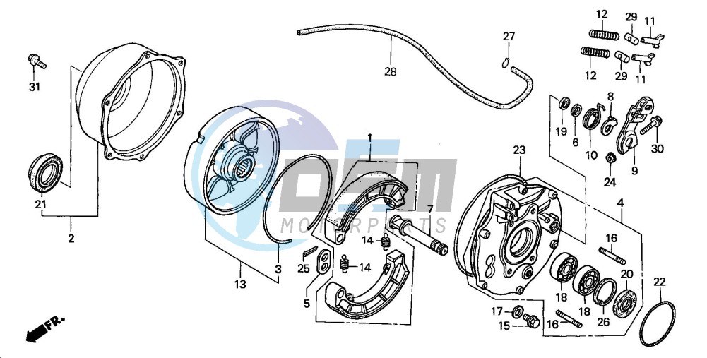 REAR BRAKE PANEL